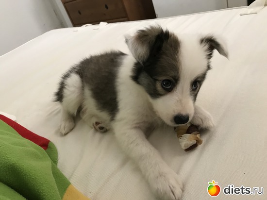 3 ����: ����