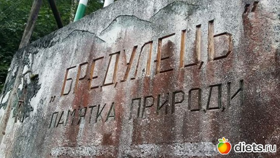 8 ����: ����� 2017