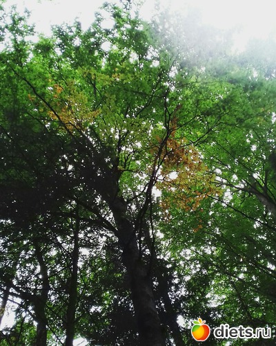 14 ����: ����� 2017