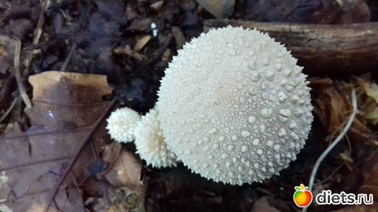 10 ����: ����� 2017