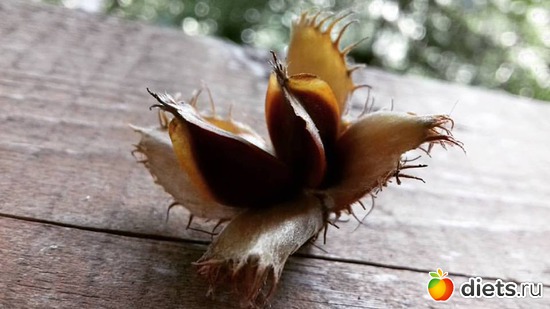 11 ����: ����� 2017