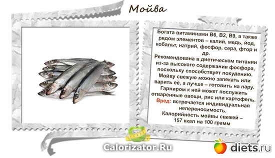 6 ����: ������