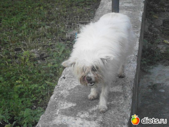 19 ����: ����� 2017