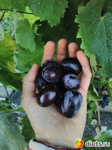 1 ����: �����