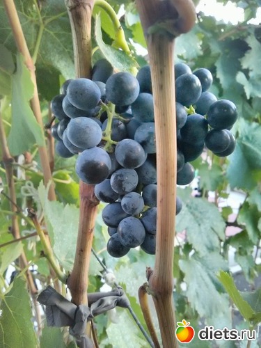 2 ����: �����