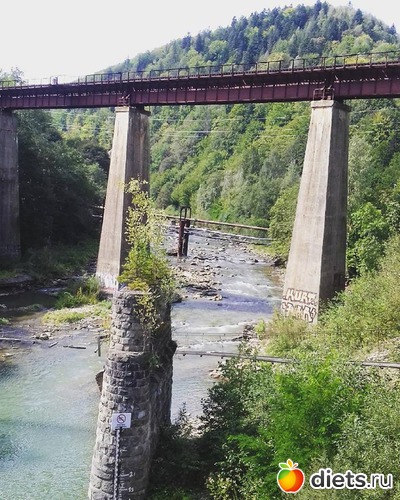 23 ����: ����� 2017