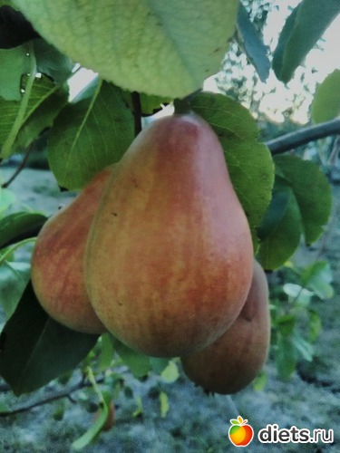 6 ����: �����