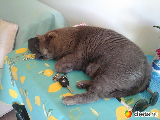 1 ����: ��� ��� ��������