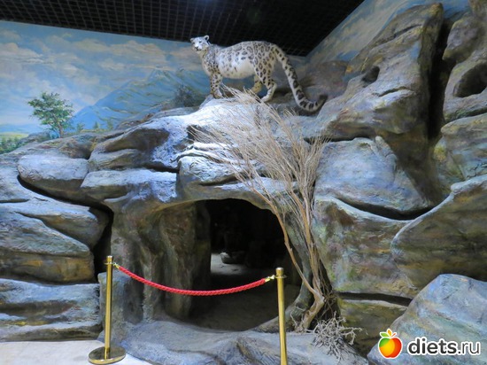 14 фото: Национальный музей РК