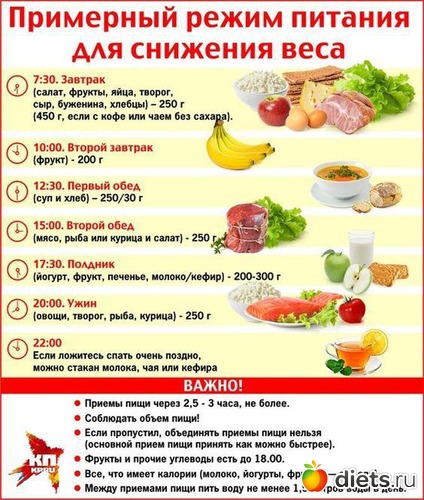 1 ����: ��������� � ����������