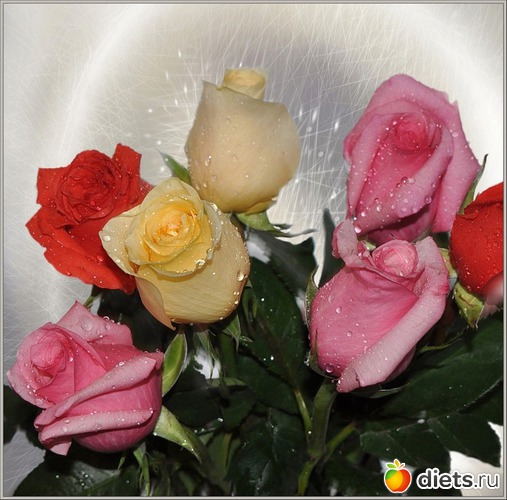 31 ����: ��������