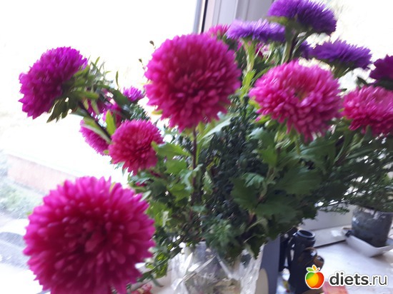 16 фото: Цветы