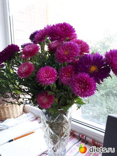 16 сентября 17г, альбом: Цветы