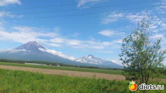 ������ �� ����, ������: ��������