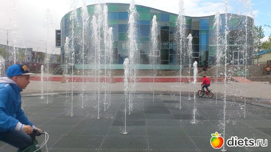 41 ����: ��������