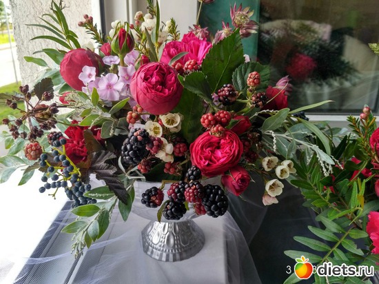 6 ����: ��� ��������� ��������� ����� ����� �������