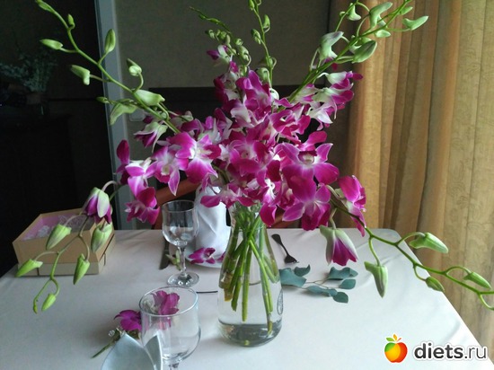 10 ����: ��� ��������� ��������� ����� ����� �������