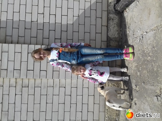 287 :  (    )....  ....