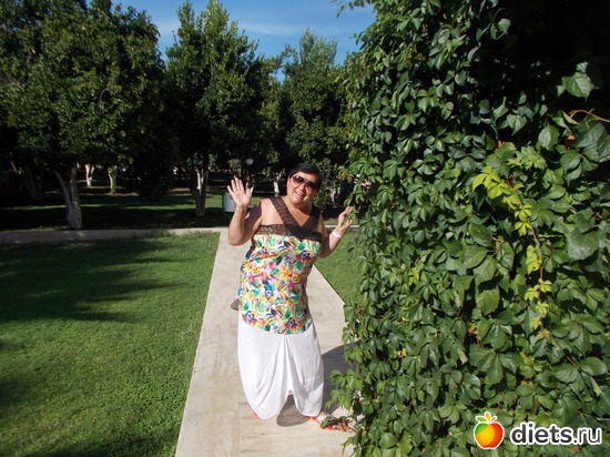 ��� ������ ������� � ����� ����, ������: ������ 2017