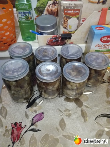 ���, ������: 1