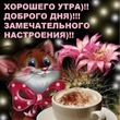 ����� �� ������� "����� 60". ����� �� ������� 28.09.2017