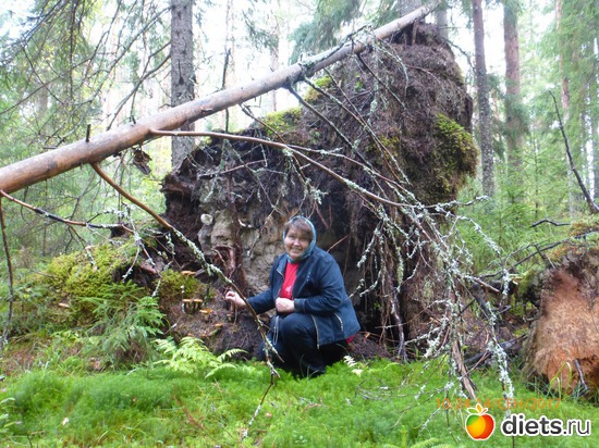 ������ �����, ������: �����2017