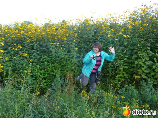 �������, ������: �����2017