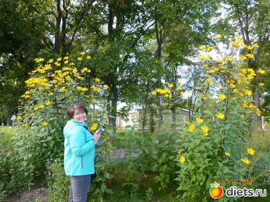 �, ������: �����2017