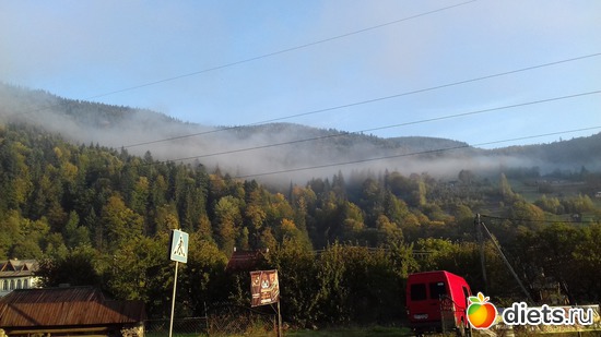 ����, ������: ����