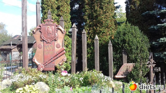 �����, ������: ����