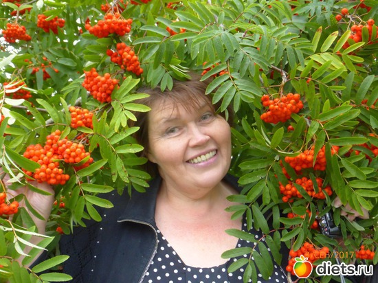 ����� �����, ��� � ����� ����, ������: �����2017