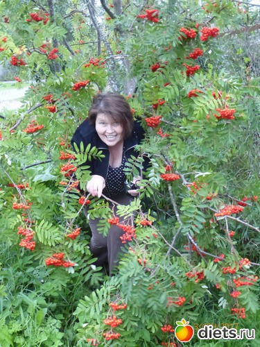 ���!..�� �����?-��� ���-�))), ������: �����2017