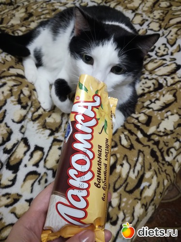 ���, ������: 1