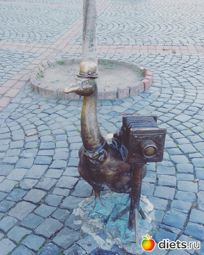 ����, ������: ����