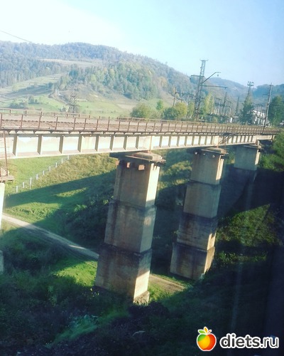 ��, ������: ����