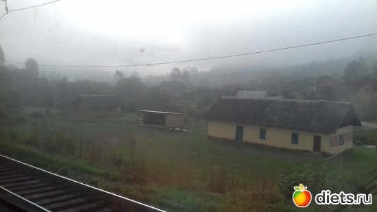 �����, ������: ����