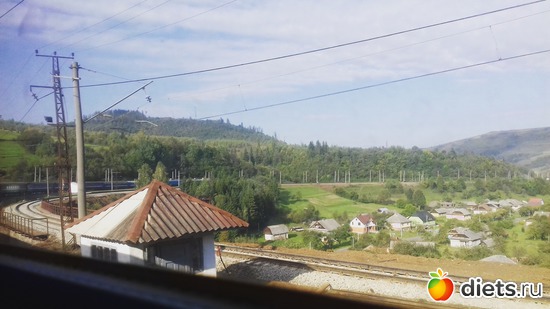 �����, ������: ����