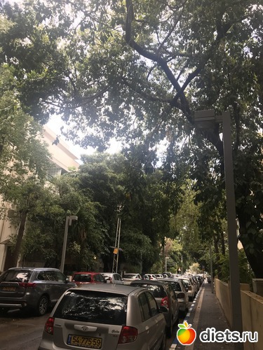 1 ����: ���������, ����, �������� - ����-������ 2018