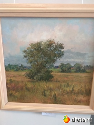 9 фото: пейзажи