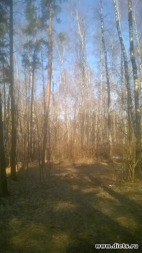 11 ����: �����  2018