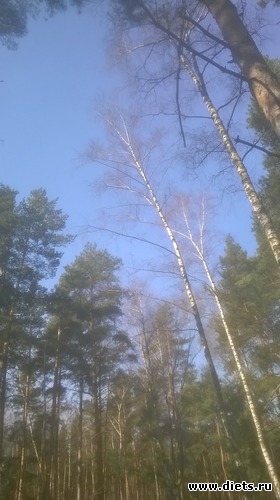 12 ����: �����  2018