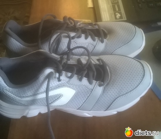 5 ����: ������ �����