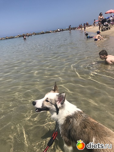 2 фото: Апрель 2018