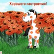 17из 90, белки ( я вернулась)