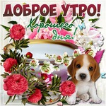 Забег по системе " Минус 60". отчёт по питанию за 19.04.2018