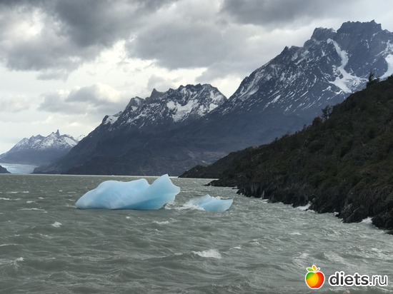 93 ����: ���������, ����, �������� - ����-������ 2018