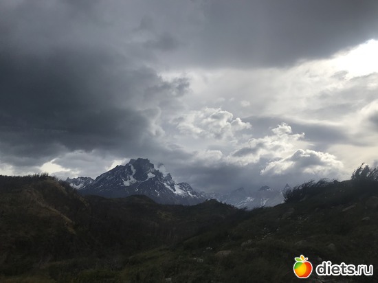 106 ����: ���������, ����, �������� - ����-������ 2018