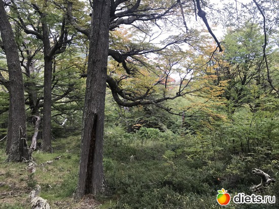 72 ����: ���������, ����, �������� - ����-������ 2018