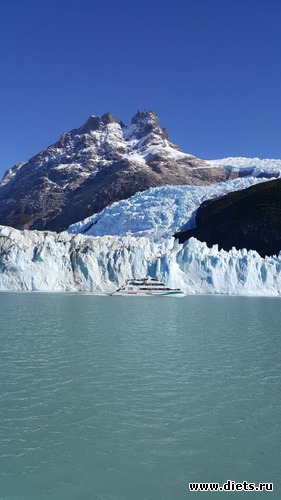 117 ����: ���������, ����, �������� - ����-������ 2018