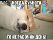 ����� �� ������� " ����� 60". ����� �� ������� �� 28.04.2018
